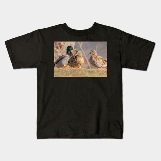 Three Mallard Ducks Kids T-Shirt by BirdsnStuff